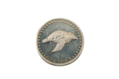 Tristan Da Cunha 'dan 5 penilik bir madeni paranın yakın plan görüntüsü.