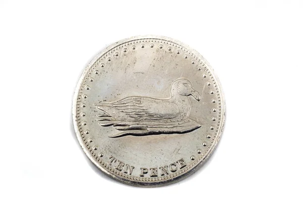 Närbild Tio Pence Mynt Från Gough Island — Stockfoto