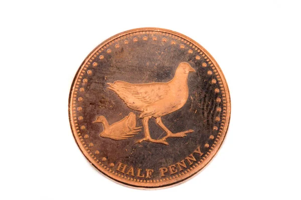 Närbild Halv Pence Mynt Från Gough Island — Stockfoto