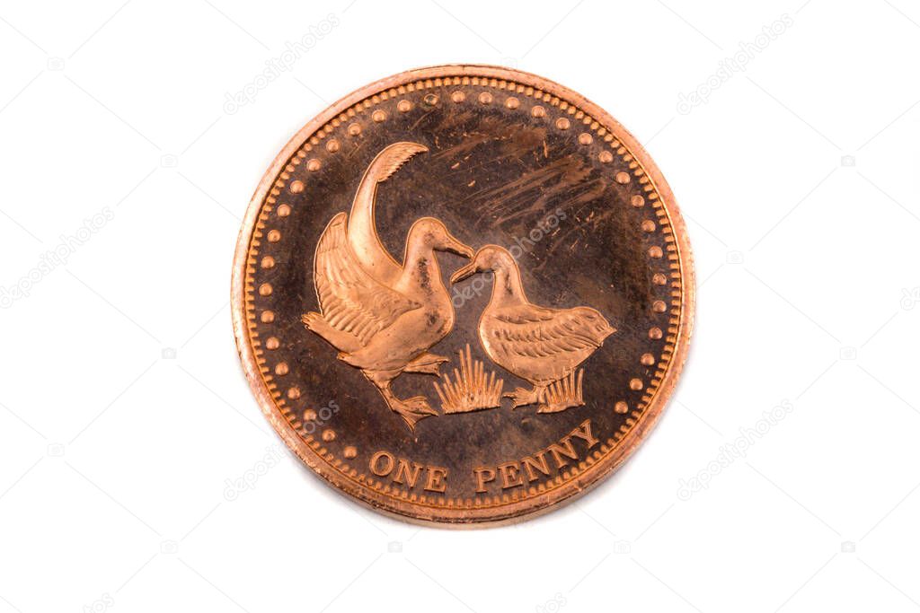 A close up view of a One Penny Coin from Gough Island