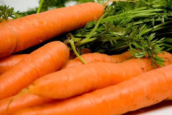 Bunch Carrots Tops Isolated White Background — Stock Photo, Image