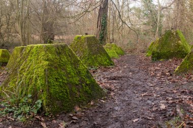 Eski 2. Dünya Savaşı Tank Savunması. Ejderha Dişleri, Guildford, İngiltere 'deki Wey nehrinin yakınında yer aldı.