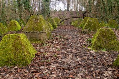 Eski 2. Dünya Savaşı Tank Savunması. Ejderha Dişleri, Guildford, İngiltere 'deki Wey nehrinin yakınında yer aldı.