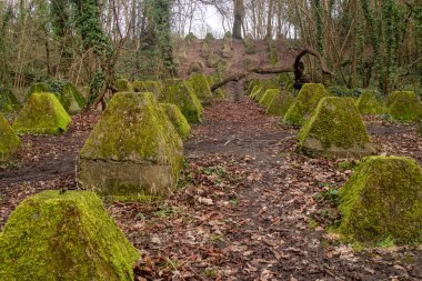 Eski 2. Dünya Savaşı Tank Savunması. Ejderha Dişleri, Guildford, İngiltere 'deki Wey nehrinin yakınında yer aldı.