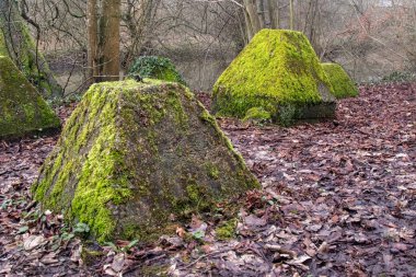 Eski 2. Dünya Savaşı Tank Savunması. Ejderha Dişleri, Guildford, İngiltere 'deki Wey nehrinin yakınında yer aldı.