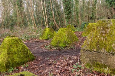 Eski 2. Dünya Savaşı Tank Savunması. Ejderha Dişleri, Guildford, İngiltere 'deki Wey nehrinin yakınında yer aldı.