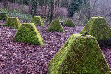 Eski 2. Dünya Savaşı Tank Savunması. Ejderha Dişleri, Guildford, İngiltere 'deki Wey nehrinin yakınında yer aldı.