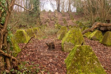 Eski 2. Dünya Savaşı Tank Savunması. Ejderha Dişleri, Guildford, İngiltere 'deki Wey nehrinin yakınında yer aldı.