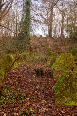 Eski 2. Dünya Savaşı Tank Savunması. Ejderha Dişleri, Guildford, İngiltere 'deki Wey nehrinin yakınında yer aldı.