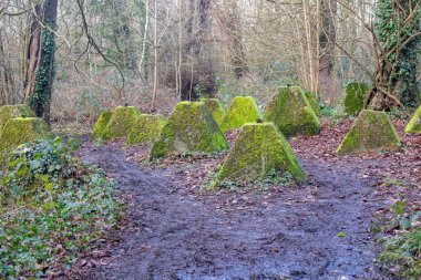 Eski 2. Dünya Savaşı Tank Savunması. Ejderha Dişleri, Guildford, İngiltere 'deki Wey nehrinin yakınında yer aldı.