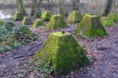 Eski 2. Dünya Savaşı Tank Savunması. Ejderha Dişleri, Guildford, İngiltere 'deki Wey nehrinin yakınında yer aldı.