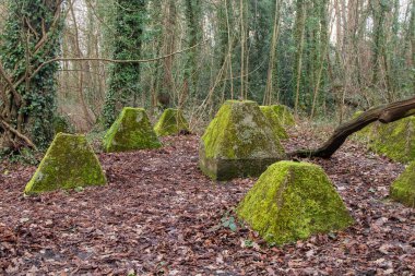 Eski 2. Dünya Savaşı Tank Savunması. Ejderha Dişleri, Guildford, İngiltere 'deki Wey nehrinin yakınında yer aldı.