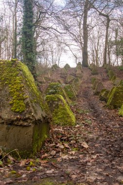 Eski 2. Dünya Savaşı Tank Savunması. Ejderha Dişleri, Guildford, İngiltere 'deki Wey nehrinin yakınında yer aldı.