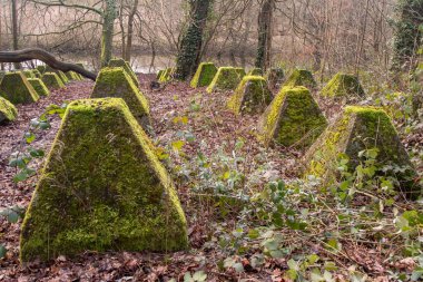 Eski 2. Dünya Savaşı Tank Savunması. Ejderha Dişleri, Guildford, İngiltere 'deki Wey nehrinin yakınında yer aldı.