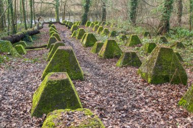 Eski 2. Dünya Savaşı Tank Savunması. Ejderha Dişleri, Guildford, İngiltere 'deki Wey nehrinin yakınında yer aldı.