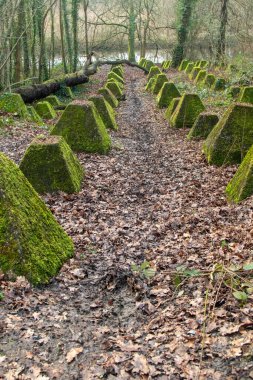 Eski 2. Dünya Savaşı Tank Savunması. Ejderha Dişleri, Guildford, İngiltere 'deki Wey nehrinin yakınında yer aldı.