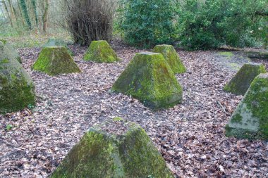 Eski 2. Dünya Savaşı Tank Savunması. Ejderha Dişleri, Guildford, İngiltere 'deki Wey nehrinin yakınında yer aldı.