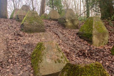 Eski 2. Dünya Savaşı Tank Savunması. Ejderha Dişleri, Guildford, İngiltere 'deki Wey nehrinin yakınında yer aldı.