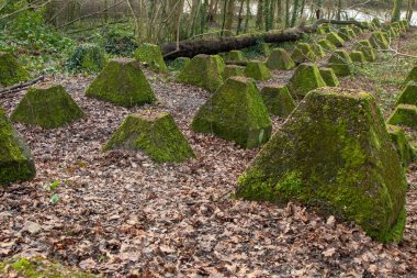 Eski 2. Dünya Savaşı Tank Savunması. Ejderha Dişleri, Guildford, İngiltere 'deki Wey nehrinin yakınında yer aldı.