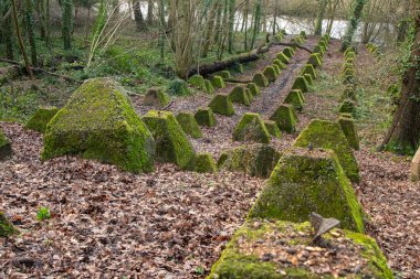 Eski 2. Dünya Savaşı Tank Savunması. Ejderha Dişleri, Guildford, İngiltere 'deki Wey nehrinin yakınında yer aldı.