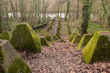 Eski 2. Dünya Savaşı Tank Savunması. Ejderha Dişleri, Guildford, İngiltere 'deki Wey nehrinin yakınında yer aldı.