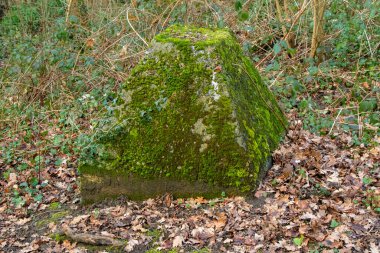 Eski 2. Dünya Savaşı Tank Savunması. Ejderha Dişleri, Guildford, İngiltere 'deki Wey nehrinin yakınında yer aldı.