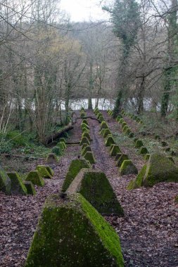 Eski 2. Dünya Savaşı Tank Savunması. Ejderha Dişleri, Guildford, İngiltere 'deki Wey nehrinin yakınında yer aldı.