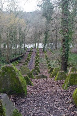 Eski 2. Dünya Savaşı Tank Savunması. Ejderha Dişleri, Guildford, İngiltere 'deki Wey nehrinin yakınında yer aldı.