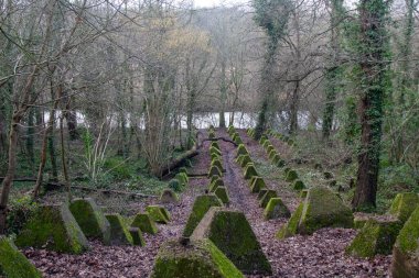 Eski 2. Dünya Savaşı Tank Savunması. Ejderha Dişleri, Guildford, İngiltere 'deki Wey nehrinin yakınında yer aldı.
