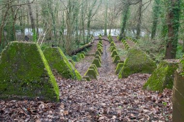 Eski 2. Dünya Savaşı Tank Savunması. Ejderha Dişleri, Guildford, İngiltere 'deki Wey nehrinin yakınında yer aldı.