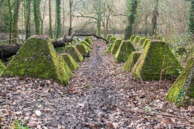 Eski 2. Dünya Savaşı Tank Savunması. Ejderha Dişleri, Guildford, İngiltere 'deki Wey nehrinin yakınında yer aldı.