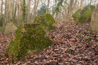 Eski 2. Dünya Savaşı Tank Savunması. Ejderha Dişleri, Guildford, İngiltere 'deki Wey nehrinin yakınında yer aldı.