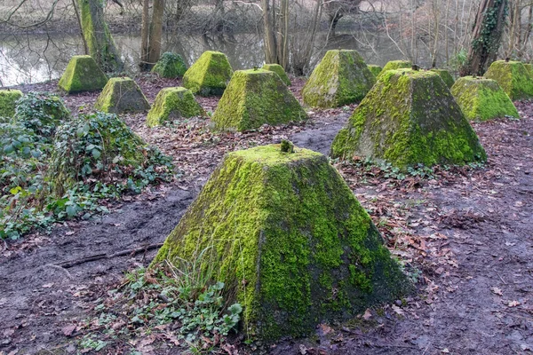 Eski 2. Dünya Savaşı Tank Savunması. Ejderha Dişleri, Guildford, İngiltere 'deki Wey nehrinin yakınında yer aldı.
