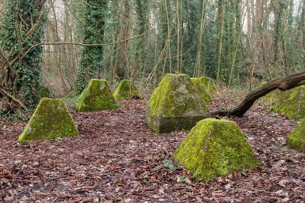 Eski 2. Dünya Savaşı Tank Savunması. Ejderha Dişleri, Guildford, İngiltere 'deki Wey nehrinin yakınında yer aldı.