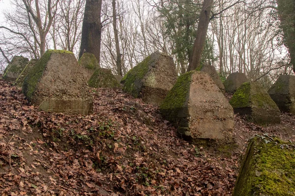Eski 2. Dünya Savaşı Tank Savunması. Ejderha Dişleri, Guildford, İngiltere 'deki Wey nehrinin yakınında yer aldı.