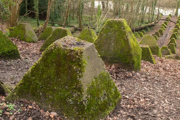 Eski 2. Dünya Savaşı Tank Savunması. Ejderha Dişleri, Guildford, İngiltere 'deki Wey nehrinin yakınında yer aldı.
