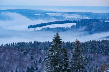 Karda, kış ormanlarında, Noel ağaçlarında, dağlarda, Wasserkuppe, Hessen 'in tepesinden, Almanya' nın en kaliteli fotoğraflarından