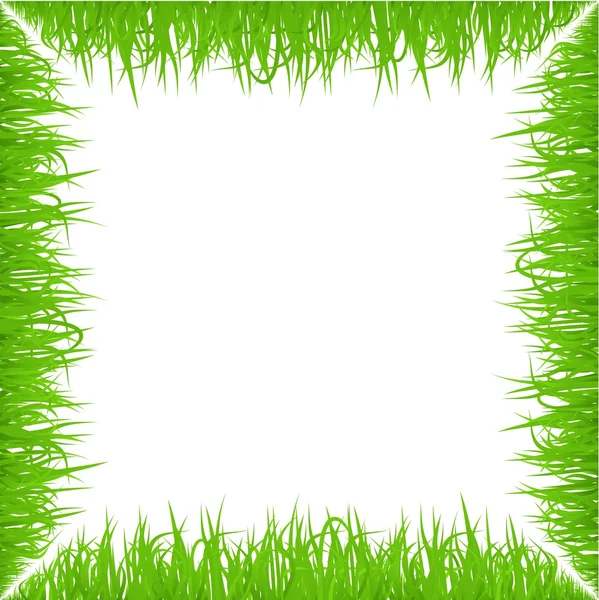 Groene lente gras frame geïsoleerd op een witte achtergrond. Realistische eco natuur grens. — Stockvector