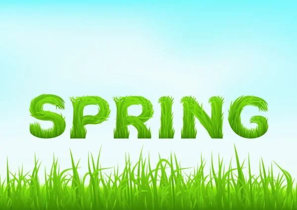 Federschrift aus Gras. Frühling Hintergrund mit grünem Frühlingsgras auf unscharfem weichen Hintergrund. — Stockvektor