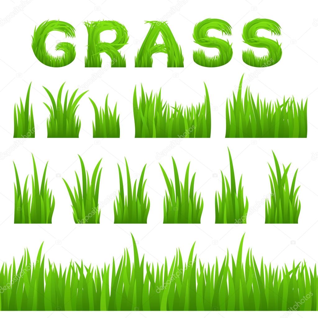 Grass texture design elements set isolated on white background. Collection of early spring green grass.