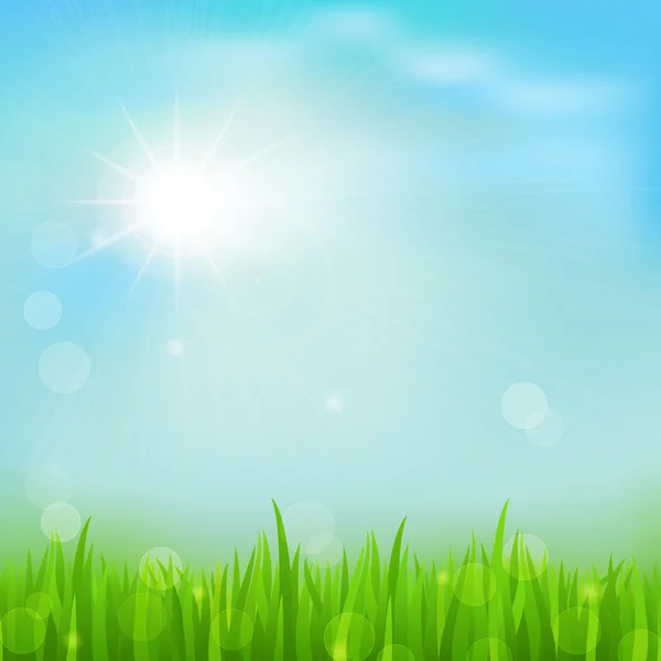 Spring background with green early spring grass on blurred soft background. — Stock Vector