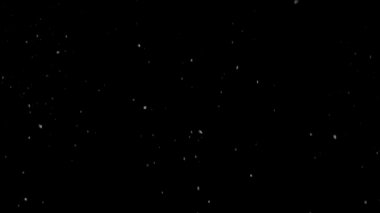 Gerçek Kar, yağan kar 4K 'da siyah zemin üzerinde izole edilmiş beste, hareket grafikleri için kullanılacak.