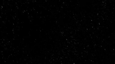 Gerçek Kar, yağan kar 4K 'da siyah zemin üzerinde izole edilmiş beste, hareket grafikleri için kullanılacak.