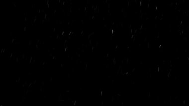Gerçek Kar, yağan kar 4K 'da siyah zemin üzerinde izole edilmiş beste, hareket grafikleri için kullanılacak.