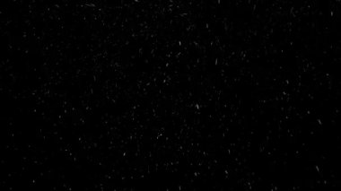 Gerçek Kar, yağan kar 4K 'da siyah zemin üzerinde izole edilmiş beste, hareket grafikleri için kullanılacak.