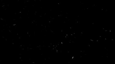 Gerçek Kar, yağan kar 4K 'da siyah zemin üzerinde izole edilmiş beste, hareket grafikleri için kullanılacak.