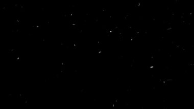 Gerçek Kar, yağan kar 4K 'da siyah zemin üzerinde izole edilmiş beste, hareket grafikleri için kullanılacak.