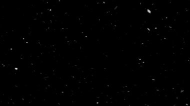 Gerçek Kar, yağan kar 4K 'da siyah zemin üzerinde izole edilmiş beste, hareket grafikleri için kullanılacak.