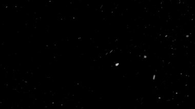 Gerçek Kar, yağan kar 4K 'da siyah zemin üzerinde izole edilmiş beste, hareket grafikleri için kullanılacak.