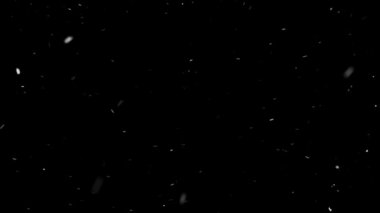 Gerçek Kar, yağan kar 4K 'da siyah zemin üzerinde izole edilmiş beste, hareket grafikleri için kullanılacak.